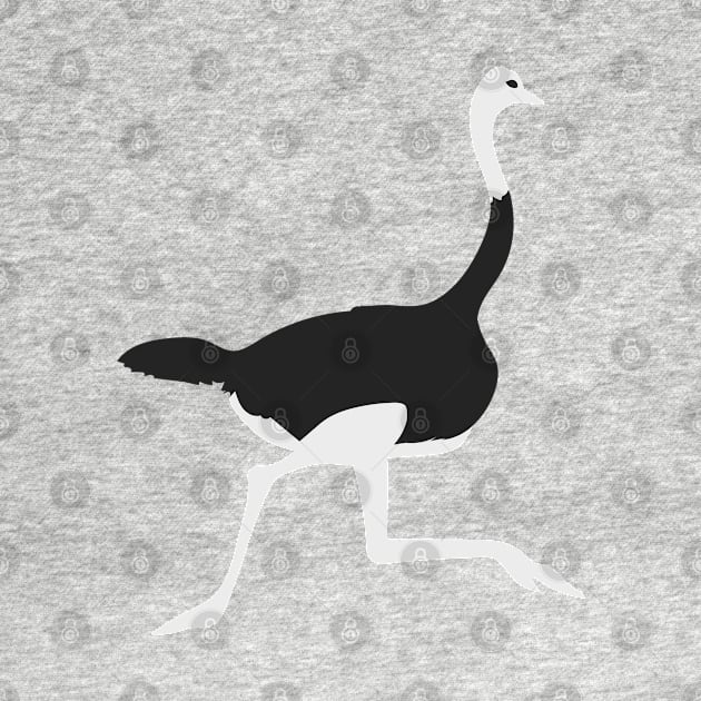 Ostrich running by Jenmag